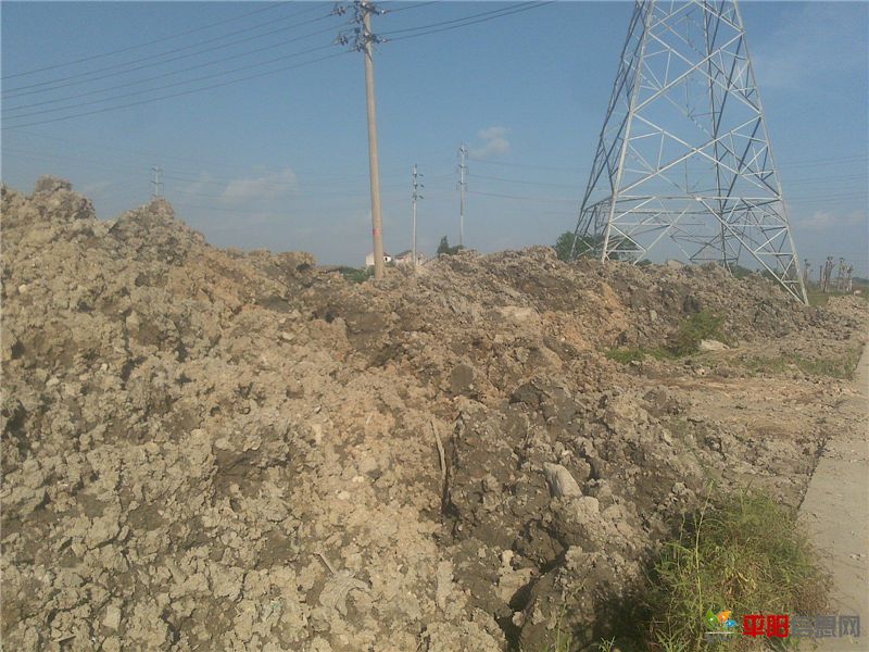 20110913614_.jpg
