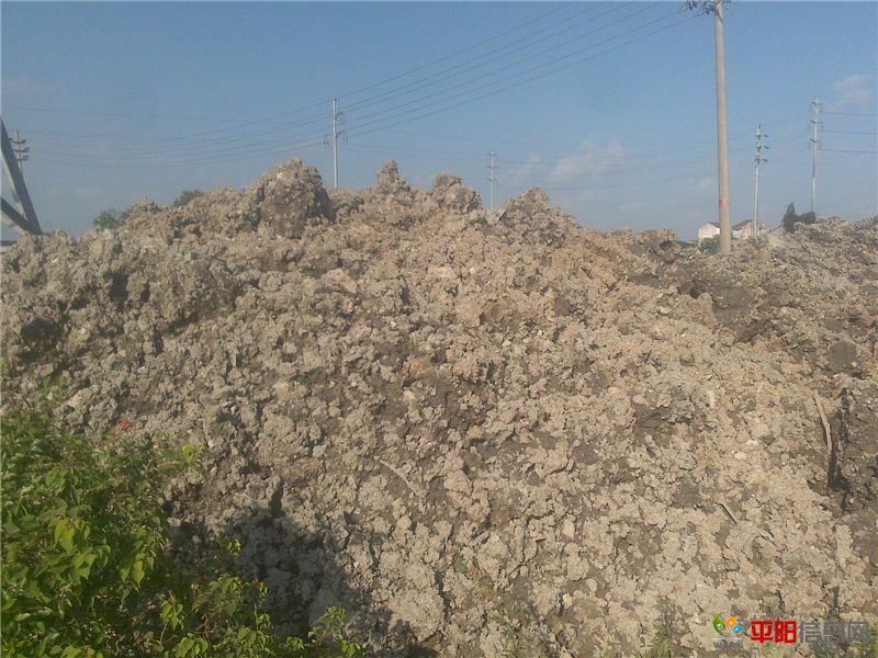 20110913613_.jpg