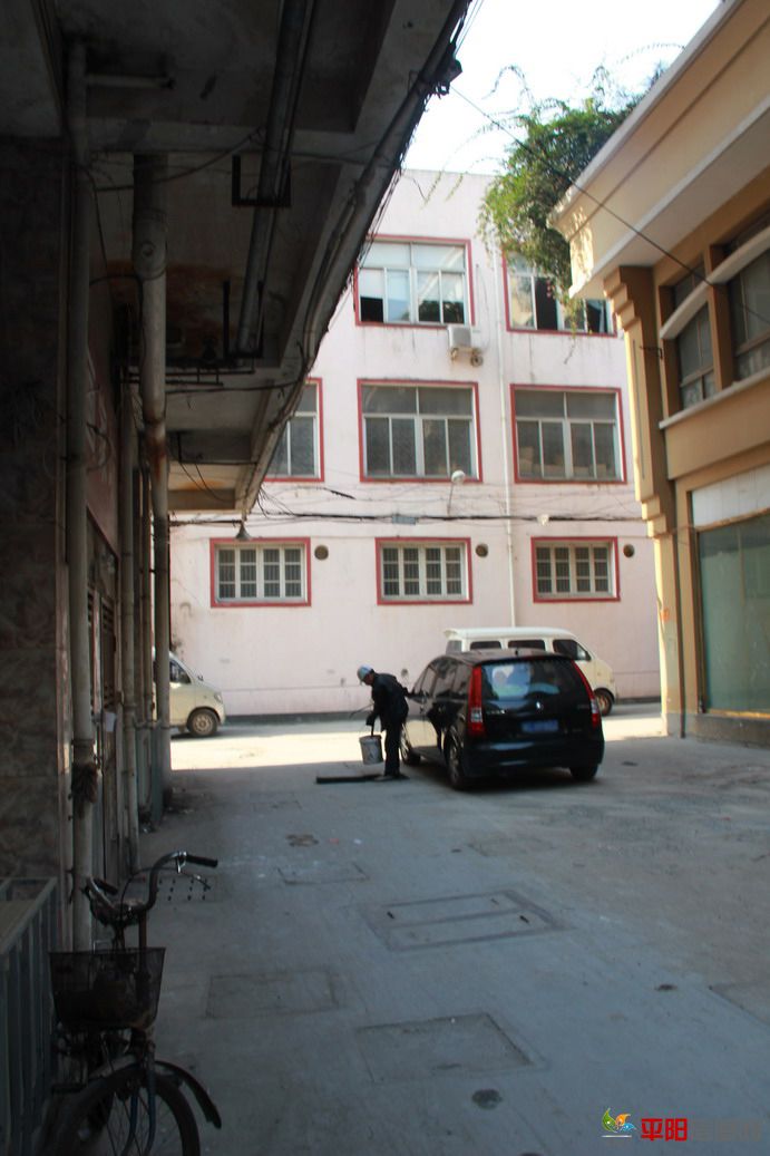 IMG_7687.JPG