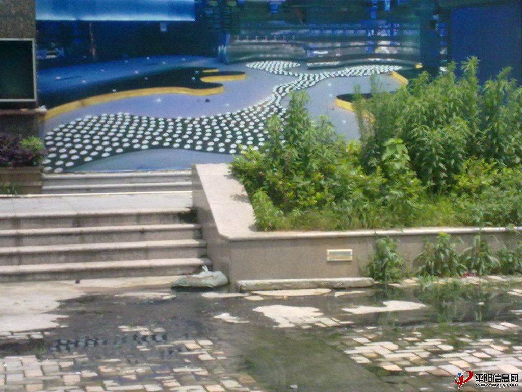 20120517497_.jpg