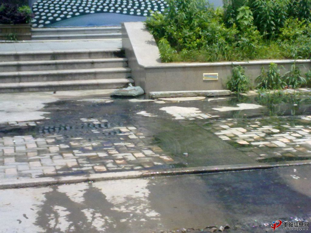 20120517494_.jpg